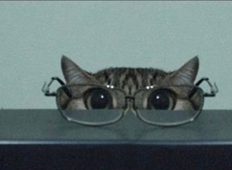 nerds